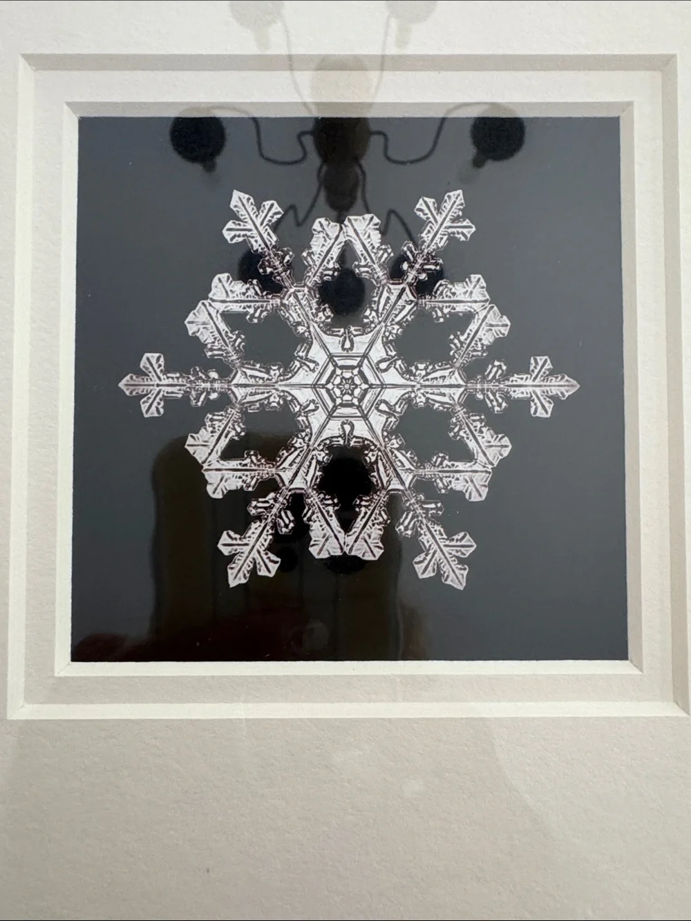 Framed Snowflake Bentley Print